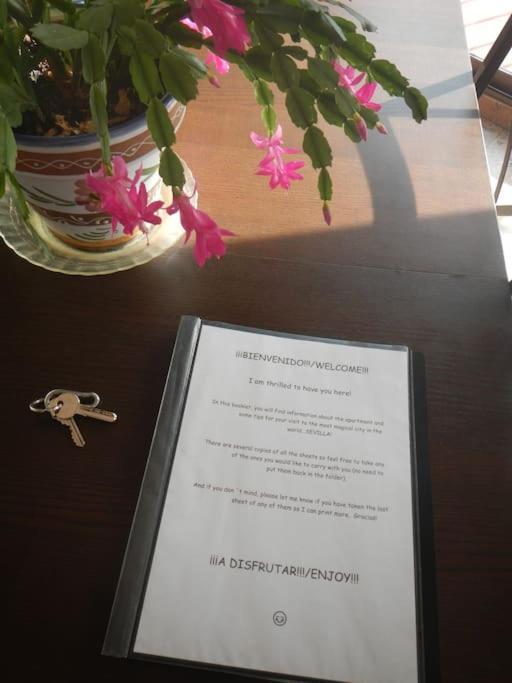 Penthouse!!! Center Of Seville!!! 2 Bedroom + 2 Bath!!! Appartement Séville