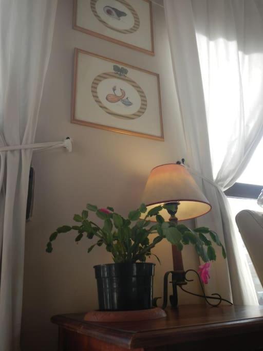 Penthouse!!! Center Of Seville!!! 2 Bedroom + 2 Bath!!! * Séville